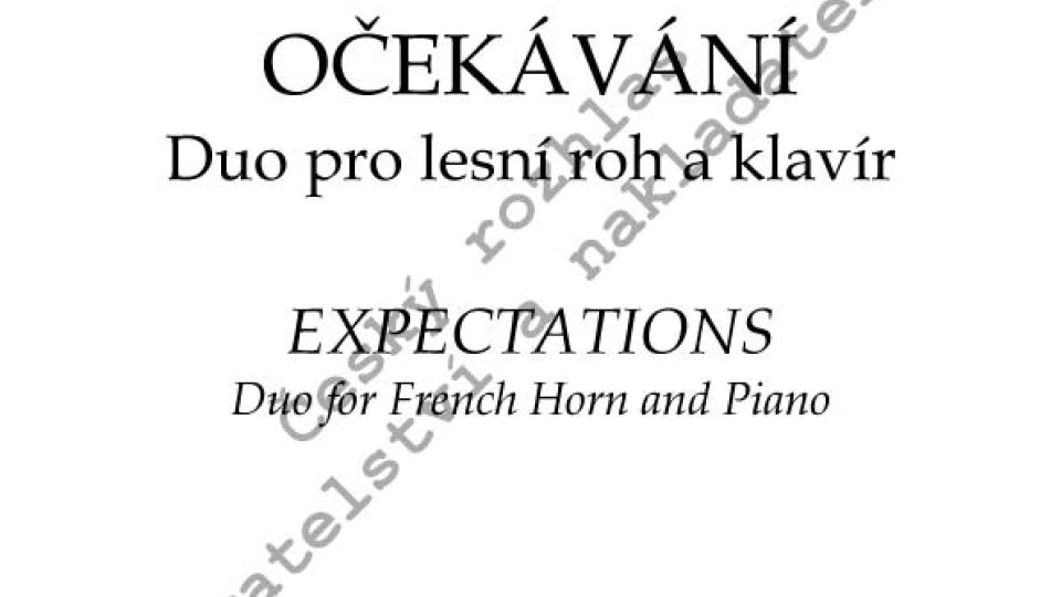 Ivan Kurz - Očekávání