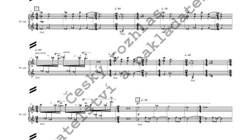 Robert Hejnar - Elysium pro klavír sólo a symfonický orchestr
