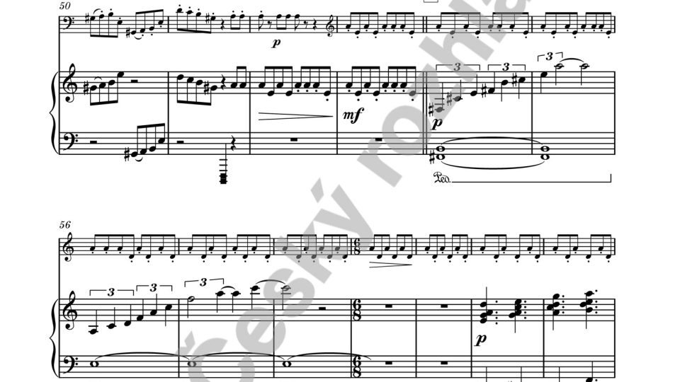 Andro Verdan Variations - Lukáš Hurník