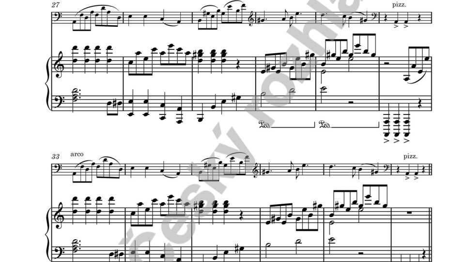 Andro Verdan Variations - Lukáš Hurník