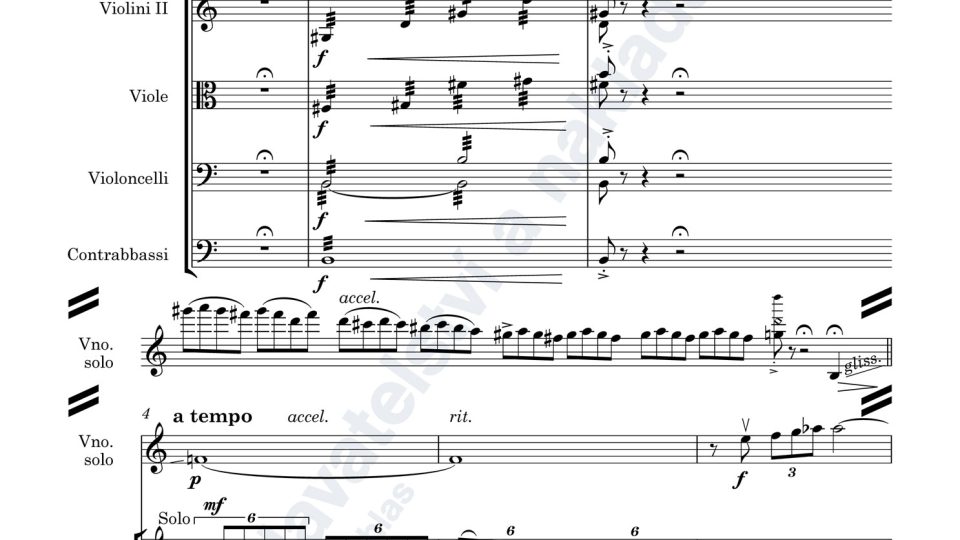 Variace na cikánskou melodii pro housle a smyčcový orchestr - Adam Skoumal