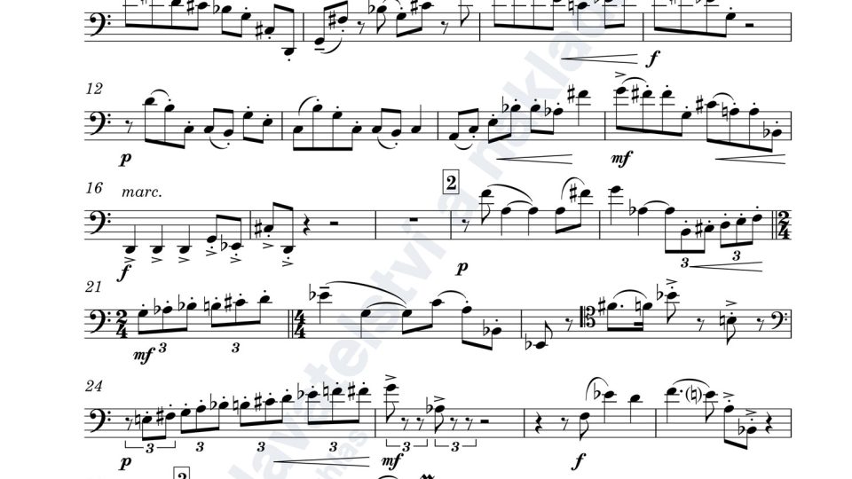 Musica bizzarra per fagotto e pianoforte - Zdeněk Šesták